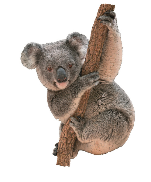 koala puzzle konturowe Madd Capp