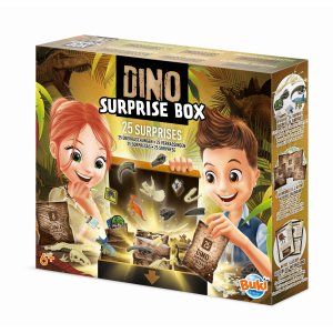 Pudełko: 25 niespodzianek z dinozaurami - Buki